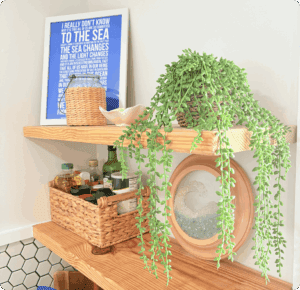 Cleaning Vacation Rental Kitchen Shelves